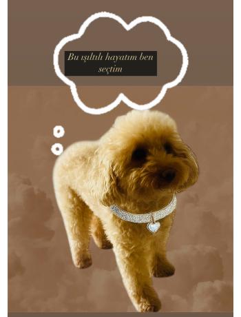 EVCİL HAYVAN ÜRÜNLERİ